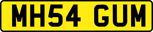 MH54GUM