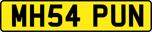 MH54PUN