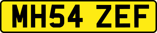 MH54ZEF