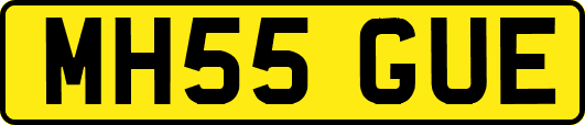 MH55GUE