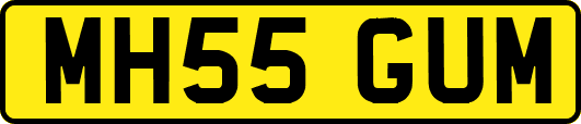 MH55GUM