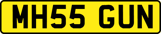MH55GUN