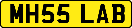 MH55LAB