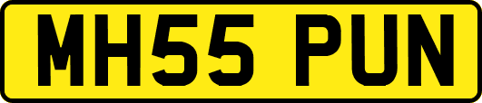 MH55PUN