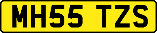 MH55TZS