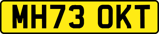 MH73OKT