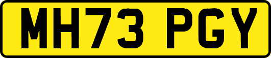 MH73PGY