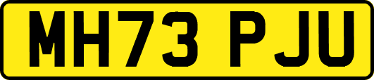 MH73PJU