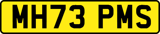 MH73PMS
