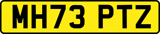 MH73PTZ