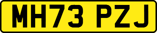 MH73PZJ