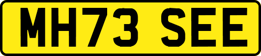 MH73SEE