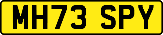MH73SPY