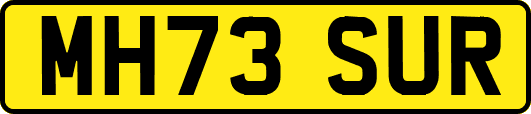 MH73SUR