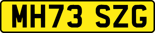 MH73SZG
