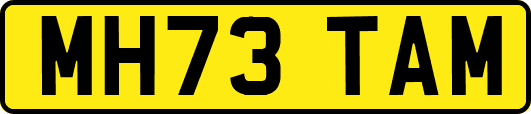 MH73TAM
