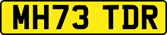 MH73TDR