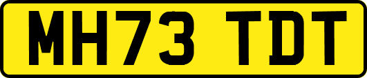 MH73TDT