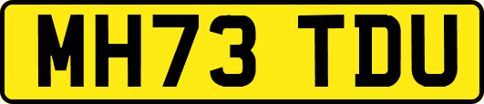 MH73TDU