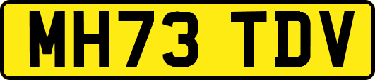 MH73TDV