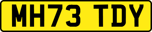 MH73TDY