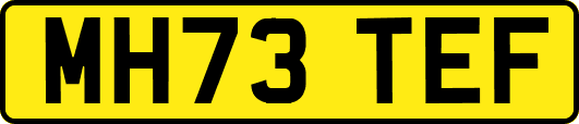 MH73TEF