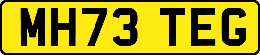 MH73TEG