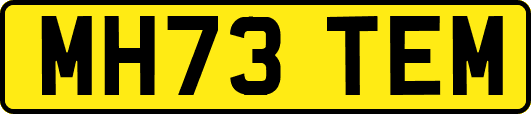 MH73TEM