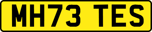 MH73TES