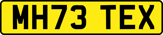 MH73TEX