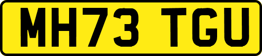MH73TGU