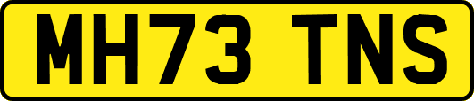 MH73TNS