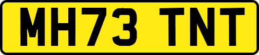 MH73TNT