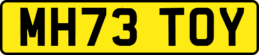 MH73TOY