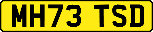 MH73TSD
