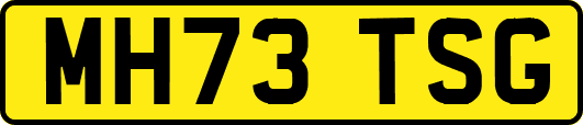 MH73TSG