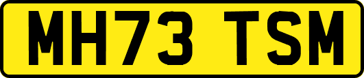 MH73TSM
