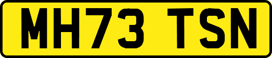 MH73TSN