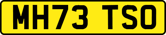 MH73TSO