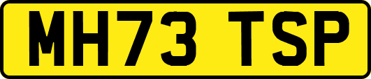 MH73TSP
