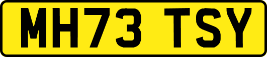 MH73TSY