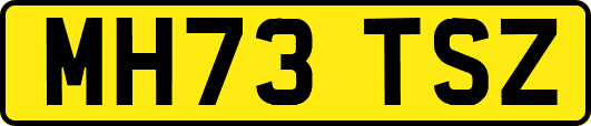 MH73TSZ