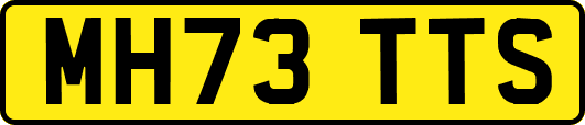 MH73TTS