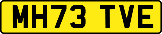 MH73TVE