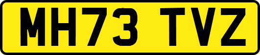 MH73TVZ