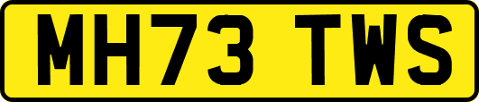 MH73TWS