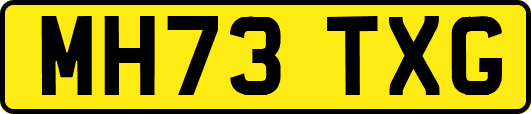 MH73TXG