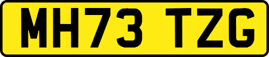 MH73TZG
