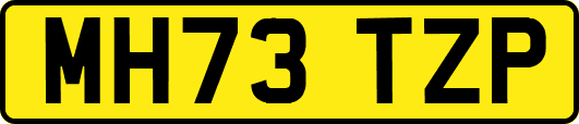 MH73TZP