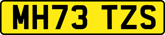 MH73TZS